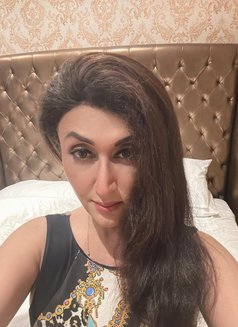 Soniyasingh - Transsexual escort in New Delhi Photo 7 of 14