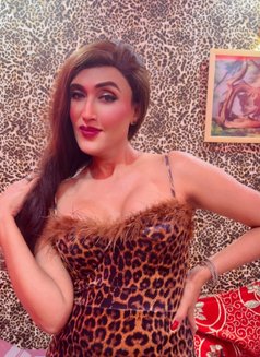 Soniyasingh - Transsexual escort in New Delhi Photo 26 of 30