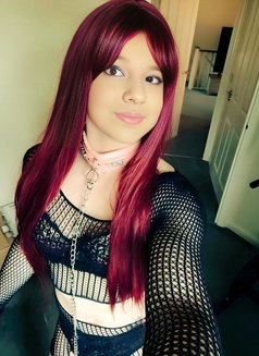 Angel Rosa - Transsexual எஸ்கார்ட் in Mumbai Photo 23 of 23