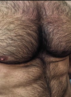 Bull for Female / Cuckold Couple - Male escort in Bangalore Photo 2 of 4