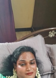 Transexual Salem Priya - Transsexual escort in Chennai Photo 5 of 5
