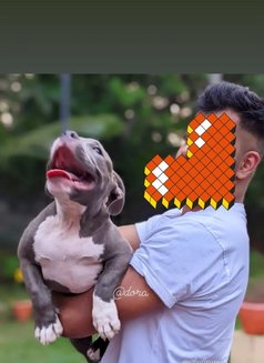 Immortalninja - Male escort in Thiruvananthapuram Photo 1 of 2