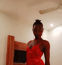 Perp - एस्कॉर्ट in Mumbai