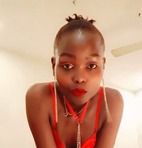 Perp - एस्कॉर्ट in Mumbai