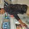 Reddyr - Male escort in Hyderabad