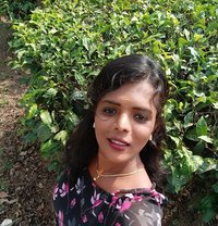 Transexual tirunelveli Pooja - Transsexual escort in Chennai