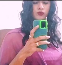 Megha1234ashok - Transsexual escort in Bangalore