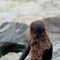Priya Sharma - escort agency in Mumbai Photo 4 of 4