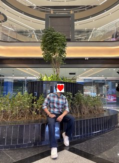 M Id Night King - Male கூட்டாணி in Noida Photo 1 of 1