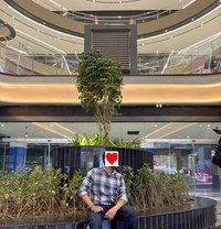 M Id Night King - Male সঙ্গী in Noida