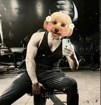 horseRider - Male escort in Jaipur