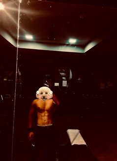 horseRider - Male escort in Jaipur Photo 4 of 5