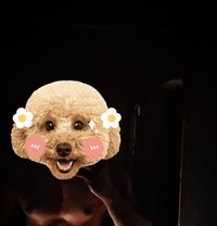 horseRider - Male এস্কর্ট in Jaipur