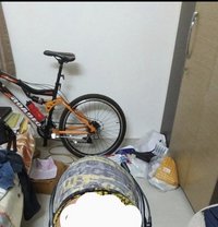 Shahid Contractor - Male companion in New Delhi