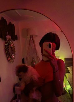 Buddyy - Transsexual escort in New Delhi Photo 1 of 1