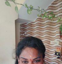 Tranny Salem Priya - Transsexual escort in Chennai