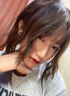 Tiya - Transsexual escort in Dehradun, Uttarakhand Photo 1 of 1