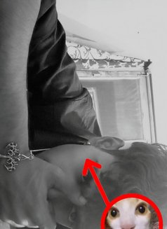 Anuj - Male adult performer in Jaipur Photo 3 of 3