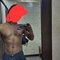 Gourav - Male escort in Gurgaon