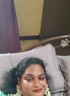 Transexual Salem Priyu - Transsexual escort in Chennai Photo 1 of 3