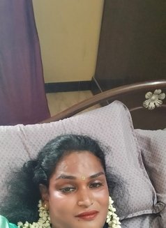 Transexual Salem Priyu - Transsexual escort in Chennai Photo 3 of 3