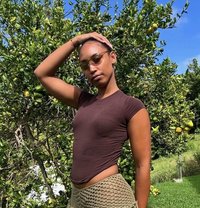 Jess Exclusive - companion in Noida