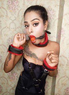 Hot Sexy Top Shemale - Transsexual एस्कॉर्ट in Bangalore Photo 1 of 12