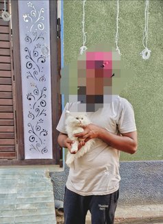 Silent Sage - Male এস্কর্ট in Jaipur Photo 1 of 1