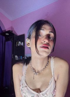 Cam session or selling pron - Transsexual escort in New Delhi Photo 3 of 16