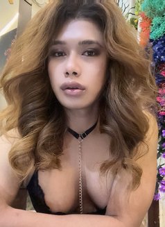 Lexalex - Transsexual escort in New Delhi Photo 2 of 3