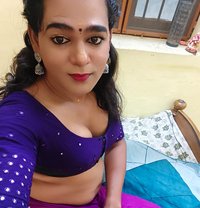 Shemale Chennai Keerthana - Transsexual escort in Chennai