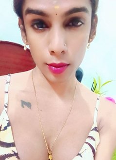 Ziya - Transsexual एस्कॉर्ट in Chennai Photo 1 of 1