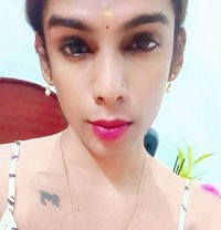 Ziya - Transsexual escort in Chennai