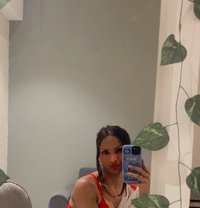 Alisha Shemale - Transsexual escort in Noida