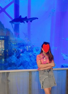 Delhi Escort 5★star Luxury Hotels 24x7 - escort in New Delhi Photo 8 of 9