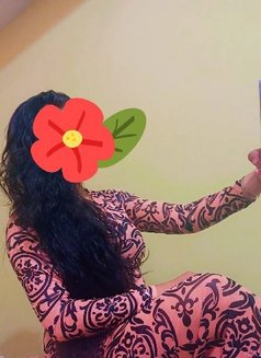 Tamil Selvi Queen - escort in Chennai Photo 1 of 1